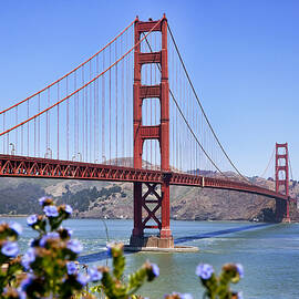 Golden Gate by Kelley King