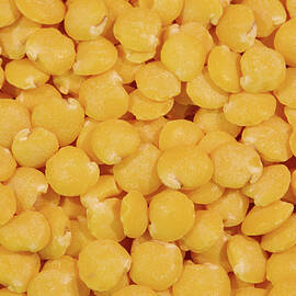 golden lentils by Bruce Block