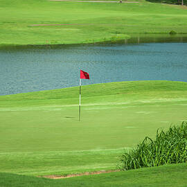 Golf approaching the green by Flees Photos
