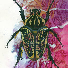 Goliath Beetle by Marie Stone-van Vuuren