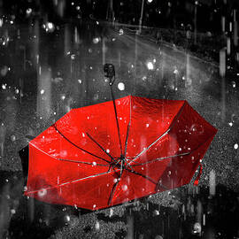 Gone with the rain by Jorgo Photography