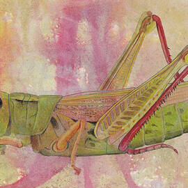 Grasshopper by Marie Stone-van Vuuren