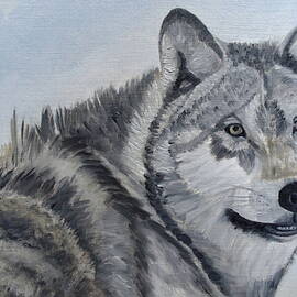 Gray Wolf by Angeles M Pomata