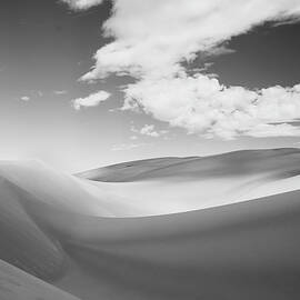 Great Sand Dunes National Park in Black and White by Kevin Schwalbe