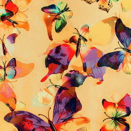 Group of Butterflies with Colorful Wings by Jorgo Photography