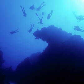 Group of divers swimming around a coral reef by Sami Sarkis Photography