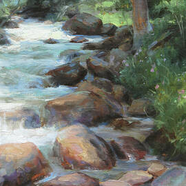 Guanella Pass Stream by Anna Rose Bain