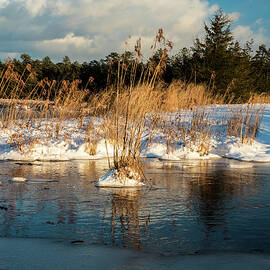 Hard frosts and icy drafts by Louis Dallara