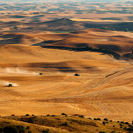 Harvest Overview by Mary Jo Allen