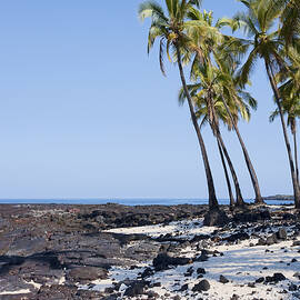 Hawaii Paradise by Kelley King