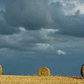 Hay bales in harvested corn field by Sami Sarkis Photography