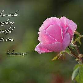 He Has Made by Mary Jo Allen