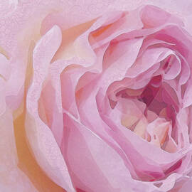 Heirloom and Lace by Gina Harrison