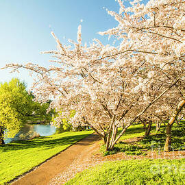 Hello, I'm in Deloraine by Jorgo Photography
