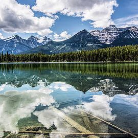 Herbert Lake  by Russell Wells