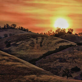 Here Comes the Sun by Beth Sargent