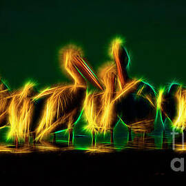 herons at a waterhole by Stefano Senise