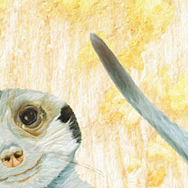 Hidden Meerkat by Angeles M Pomata