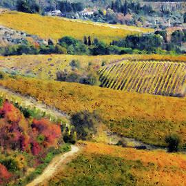 Hills of Tuscany - 26 by AM FineArtPrints