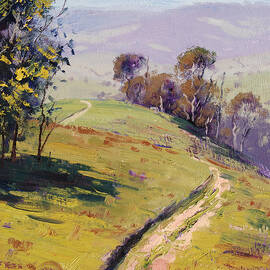 Hilly Landscape Lithgow by Graham Gercken