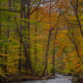 Hints Of Summer Still Remain by Susan Candelario