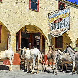 Historic Hotel in Arizona by Miroslav Liska