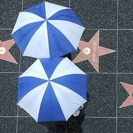 Hollywet by Dan Holm