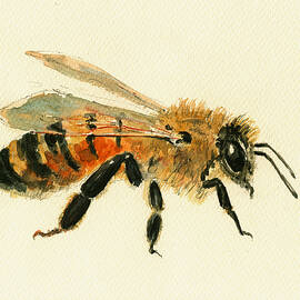 Honey Bee painting by Juan  Bosco