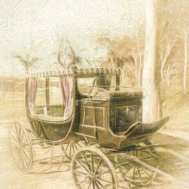 Horse drawn funeral cart  by Jorgo Photography