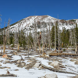 Horseshoe Lake View of Mammoth by Kelley King