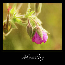 Humility 3 by Mary Jo Allen