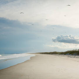 Huntington Beach State Park II by Ivo Kerssemakers