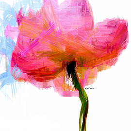 I am Pink by Rafael Salazar