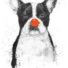 I'm not your clown by Balazs Solti