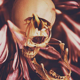 In contrasts of soul growth by Jorgo Photography