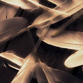 In delicate forms by Jorgo Photography