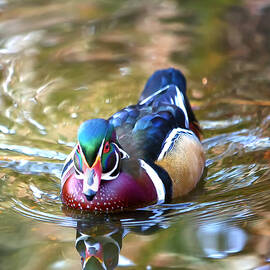 Incoming Woody by Bill and Linda Tiepelman