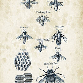 Insects - 1792 - 14 by Aged Pixel