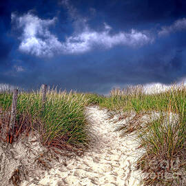 Into the Storm by Olivier Le Queinec