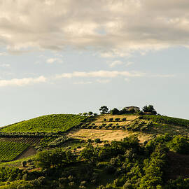 Italy - Countryside 3 by AM FineArtPrints