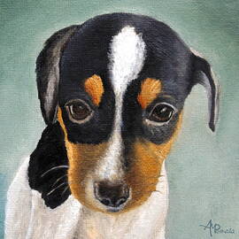 Doe-eyed Glance by Angeles M Pomata