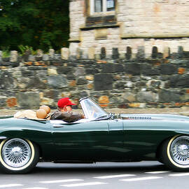 Jaguar E-Type Sports Car by Georgia Clare