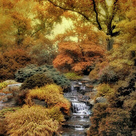Japanese Rock Garden by Jessica Jenney