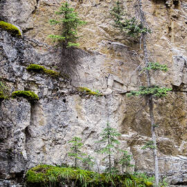 Johnson Canyon Banff National Park Canada by Mary Lee Dereske