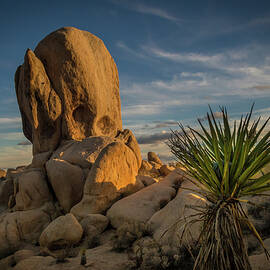 Joshua Tree Rock Formation by Ed Clark