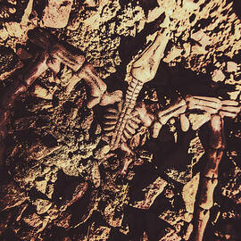 Jurassic grave by Jorgo Photography