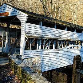Knox Covered Bridge by Louis Dallara