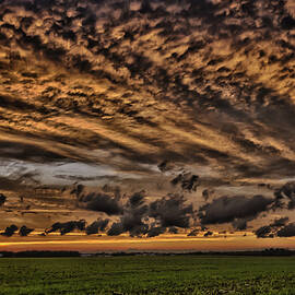 Last Hours of Sunlight by Louis Dallara