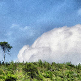 Last One Standing by Jeffrey Kolker