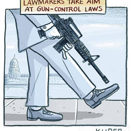 Lawmakers take aim at gun control laws by Peter Kuper
